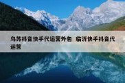 乌苏抖音快手代运营外包  临沂快手抖音代运营