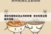 竞价托管样式怎么写的好看  竞价托管公司操作流程