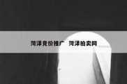 菏泽竞价推广  菏泽拍卖网