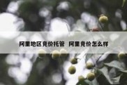 阿里地区竞价托管  阿里竞价怎么样