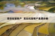 竞价托管账户  竞价托管账户免费诊断