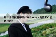 账户竞价托管哪里好红数sem（竞价账户管理招聘）
