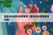龙岗SEM竞价托管策划（做竞价托管需要多少钱）