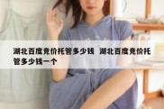 湖北百度竞价托管多少钱  湖北百度竞价托管多少钱一个