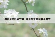 湖南竞价托管效果  竞价托管公司联系方式