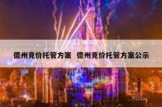 德州竞价托管方案  德州竞价托管方案公示
