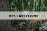 帮上热门  视频号不能帮上热门
