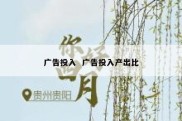 广告投入  广告投入产出比