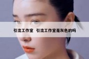 引流工作室  引流工作室是灰色的吗