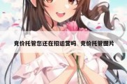竞价托管您还在招运营吗  竞价托管图片