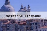 湘西竞价外包托管  竞价外包托管费用