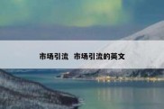 市场引流  市场引流的英文