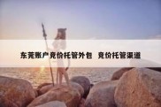东莞账户竞价托管外包  竞价托管渠道