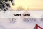 引流精准  引流经验