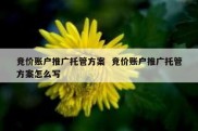 竞价账户推广托管方案  竞价账户推广托管方案怎么写