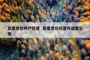 百度竞价开户托管  百度竞价托管代运营公司