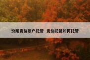 汾阳竞价账户托管  竞价托管如何托管