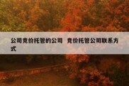 公司竞价托管的公司  竞价托管公司联系方式