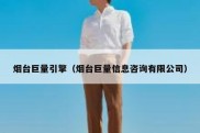 烟台巨量引擎（烟台巨量信息咨询有限公司）