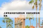 上海专业抖音代运营合同  抖音代运营合同范本