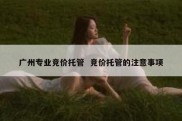 广州专业竞价托管  竞价托管的注意事项