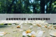 企业短视频号运营  企业短视频运营图片