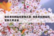 安庆竞价网站托管有几家  安庆竞价网站托管有几家企业