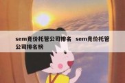 sem竞价托管公司排名  sem竞价托管公司排名榜