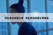 河北竞价托管公司  河北竞价托管公司排名
