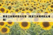 黑龙江关键词竞价托管（黑龙江关键词优化难度）