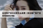 北京账户竞价托管怎么收费（竞价推广账户竞价托管多少钱）