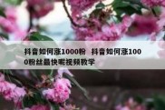 抖音如何涨1000粉  抖音如何涨1000粉丝最快呢视频教学