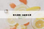 非凡涨粉  b站非凡哥