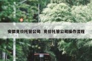 安徽竞价托管公司  竞价托管公司操作流程