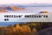 阿里巴巴怎么推广  阿里巴巴怎么推广开直通车