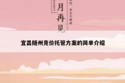 宜昌随州竞价托管方案的简单介绍