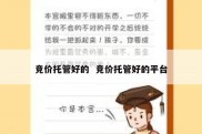 竞价托管好的  竞价托管好的平台