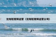 沈阳短视频运营（沈阳短视频运营公司）