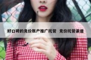好口碑的竞价账户推广托管  竞价托管渠道