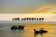 ip运营  ip运营商是什么意思