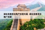 湖北百度竞价账户托管方案  湖北百度竞价推广托管