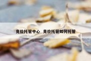 竞价托管中心  竞价托管如何托管