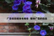 广告投放媒体有哪些  媒体广告的投放