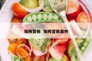 矩阵营销  矩阵营销案例