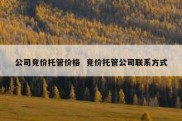 公司竞价托管价格  竞价托管公司联系方式