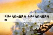 有没有竞价托管费用  有没有竞价托管费用的