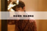 粉丝涨粉  粉丝涨粉丝