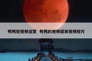 鸭鸭短视频运营  鸭鸭的视频搞笑视频短片