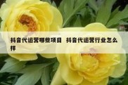 抖音代运营哪些项目  抖音代运营行业怎么样