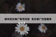 郴州竞价推广账号托管  竞价推广托管服务